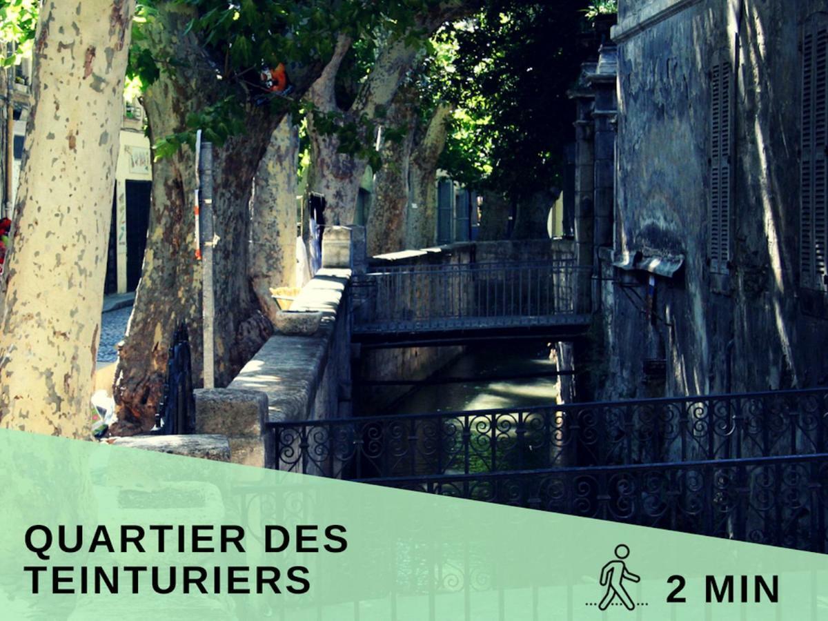 Aventure Avignonnaise - Authentique - Intramuros - City Center Dış mekan fotoğraf
